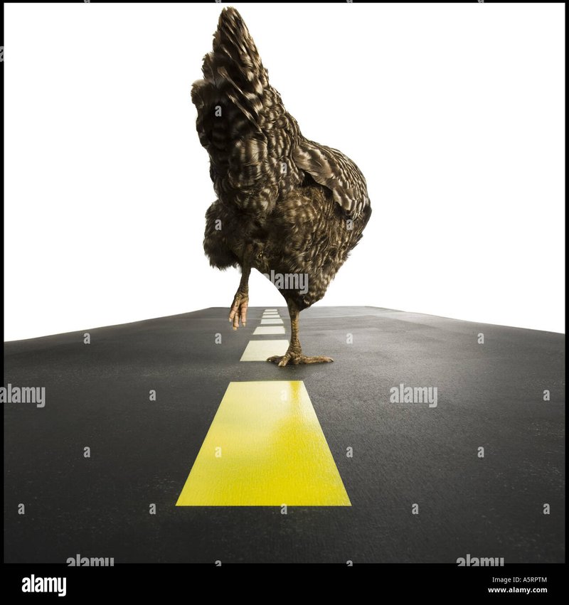 Chicken road slot - Jocul de Noroc Chicken Road Câștigătoarele din România
